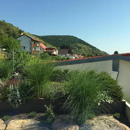Am Ringelsberg Apartment Frankweiler