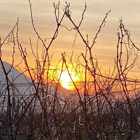 Am Ringelsberg Frankweiler