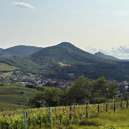 Am Ringelsberg *